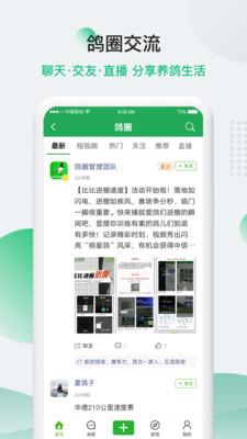 中国信鸽信息网