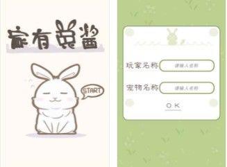 家有兔酱评测：休闲养兔了解一下图片1