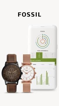 Fossil Q