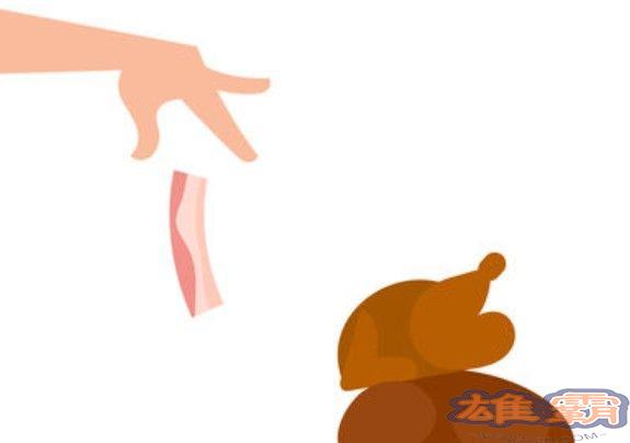 bacon游戏一共多少关？bacon游戏攻略大全图片1