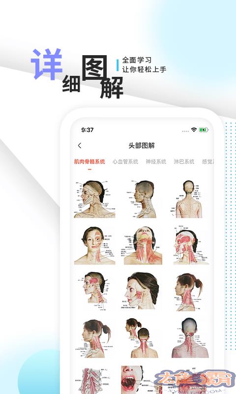 3d人体解剖学三维图谱